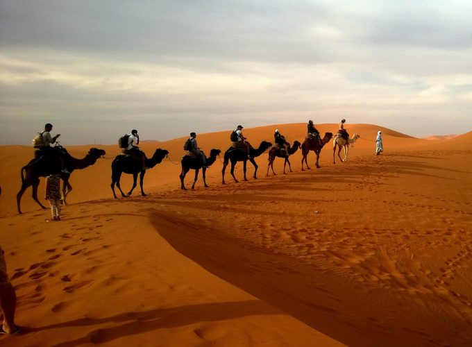 Best Travel Company in India