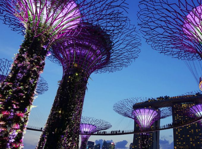 No. 1 Travel Company in Patna, Bihar, India