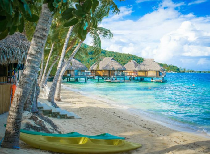 Best Travel Company in India