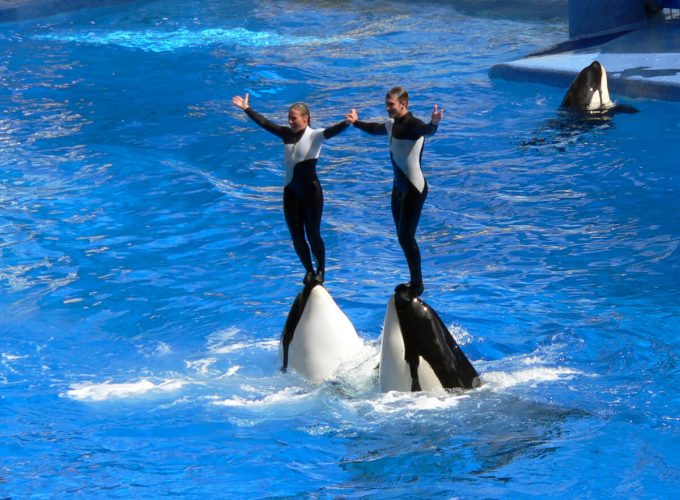 Best Travel Company in India