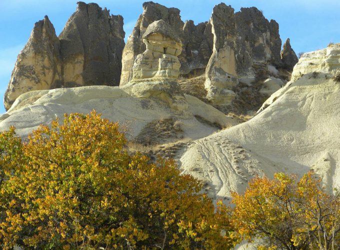 Best Travel Company in India