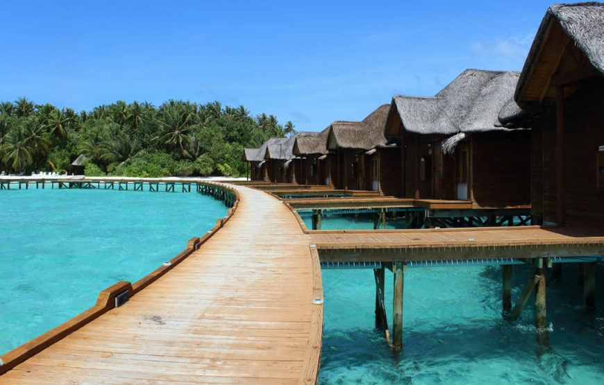 Coco Palm Dhuni Kolhu Resort Maldives