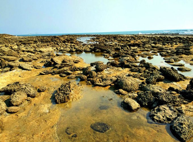 Best Travel Company in India