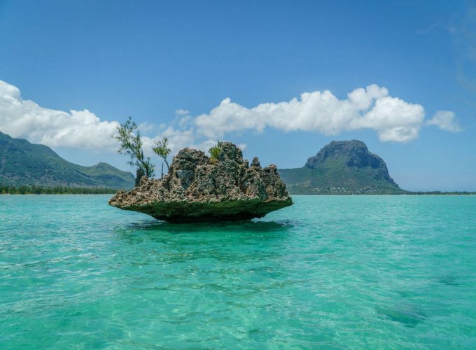 Best Travel Company in India