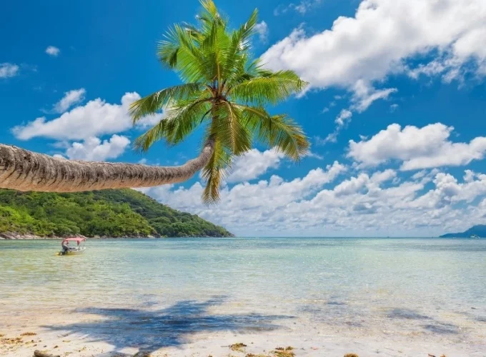 Best Travel Company in India