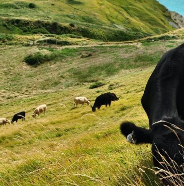 United Kingdom Tour Packages