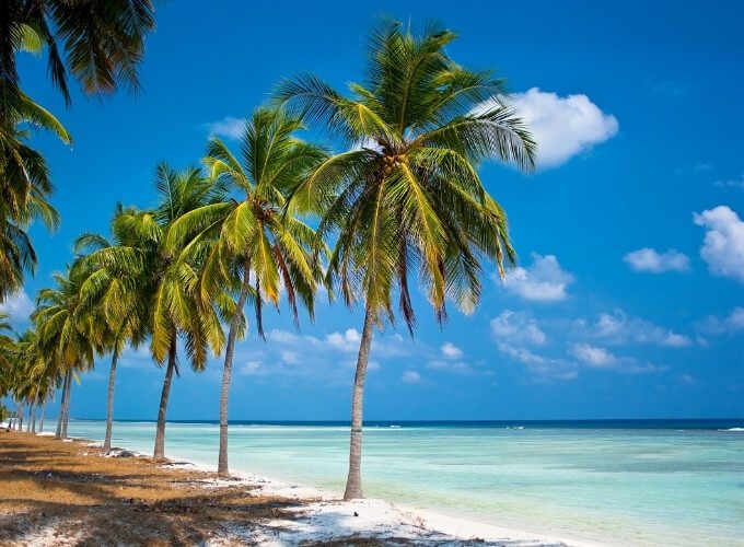 Best Travel Company in India