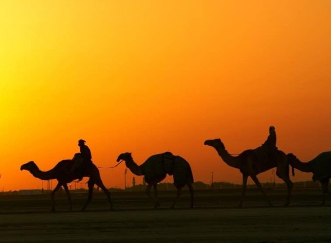 Best Travel Company in India