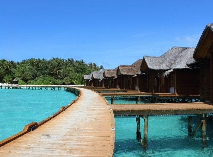 Best Travel Company in India